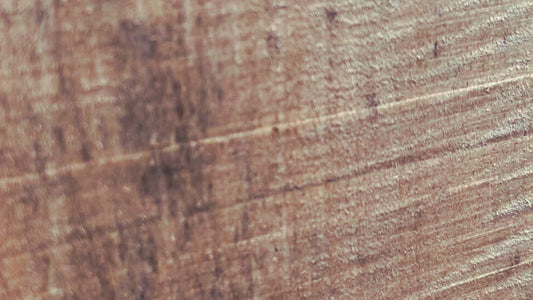 木軸ペン愛好家の仲間入り？北海道の厳冬が育む「瘤杢」と、知っておきたい希少な5つの杢目②