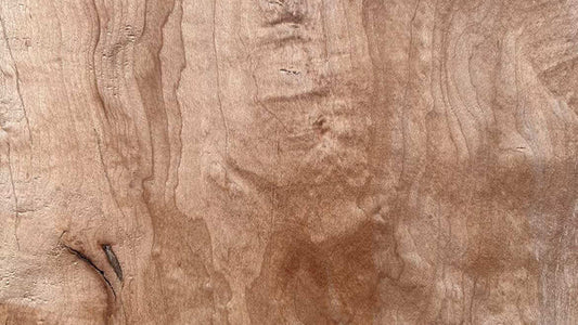 木軸ペン愛好家の仲間入り？北海道の厳冬が育む「瘤杢」と、知っておきたい希少な5つの杢目③