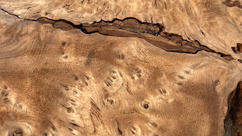 木軸ペン愛好家の仲間入り？北海道の厳冬が育む「瘤杢」と、知っておきたい希少な5つの杢目①